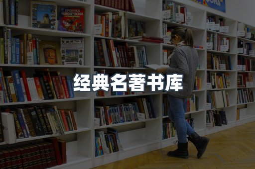 外文电子书系列